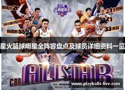 星火篮球明星全阵容盘点及球员详细资料一览
